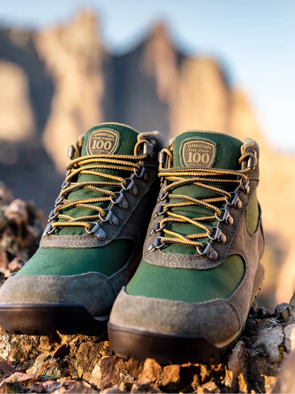 Danner special addition Jag Oregon State hiking boots